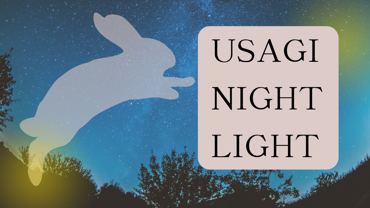 usaginightlight
